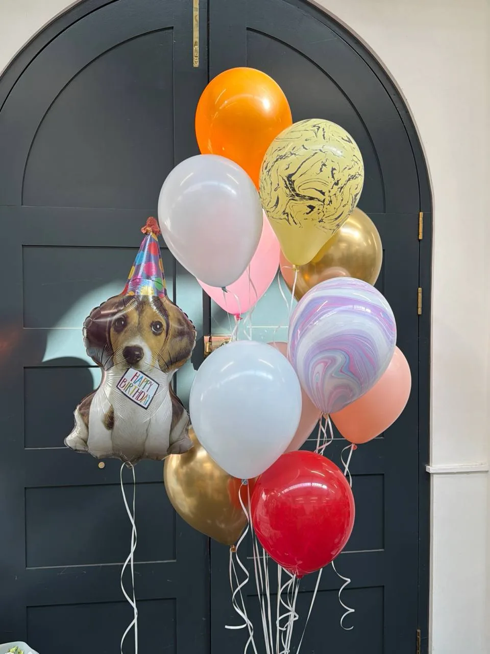 Puppy party wishes (11 balloons helium inflated)