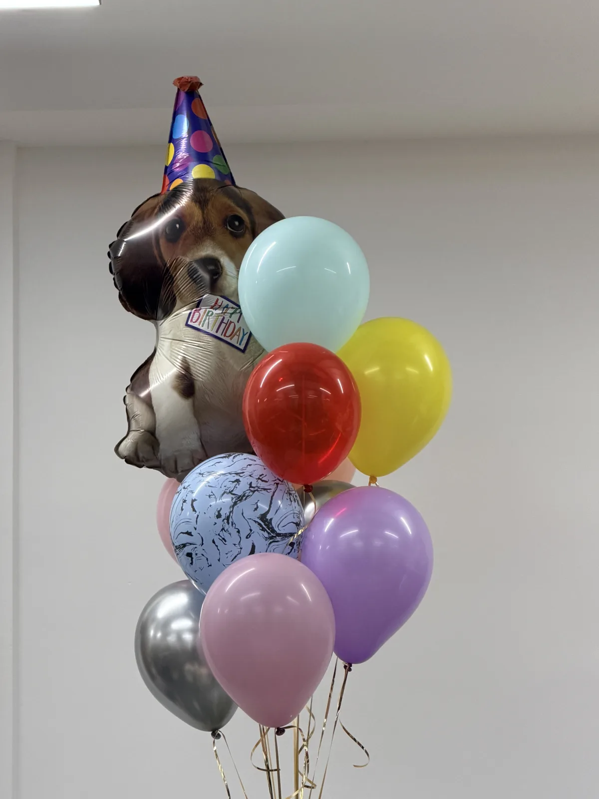 Puppy party wishes (11 balloons helium inflated)