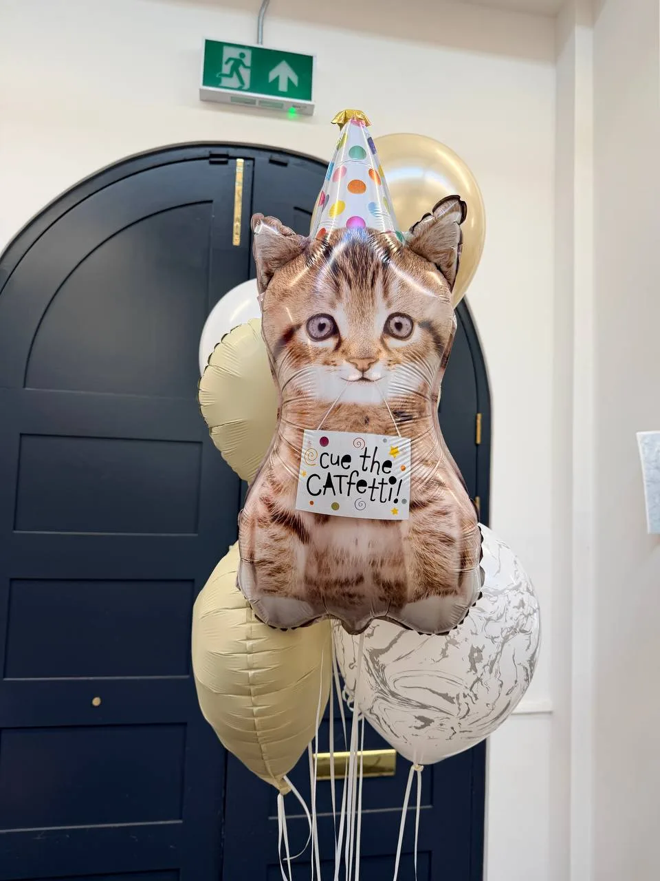 Cue the Catfetti (7 balloons helium inflated)