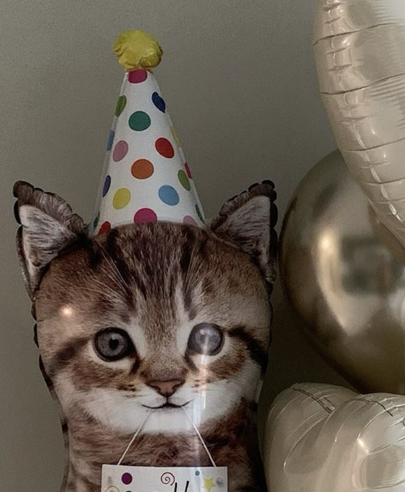 Cue the Catfetti (7 balloons helium inflated)