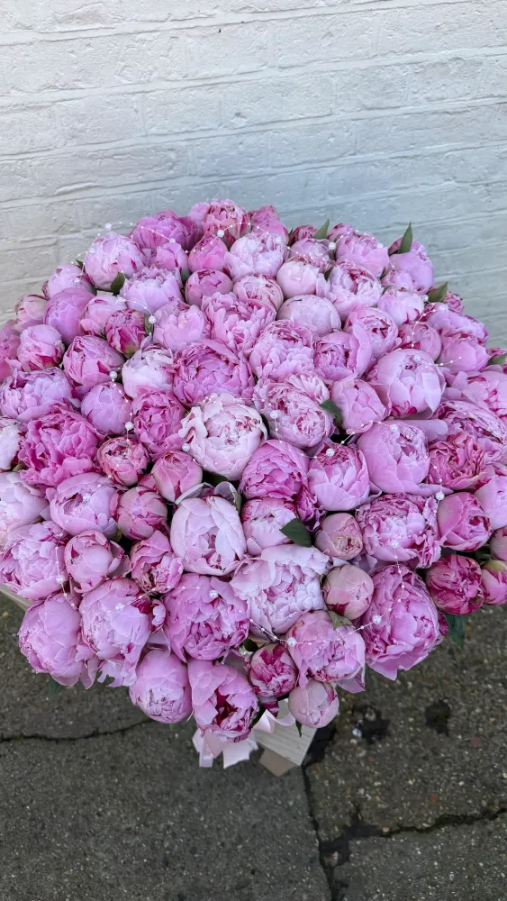 Peony reverie basket (85 peonies)