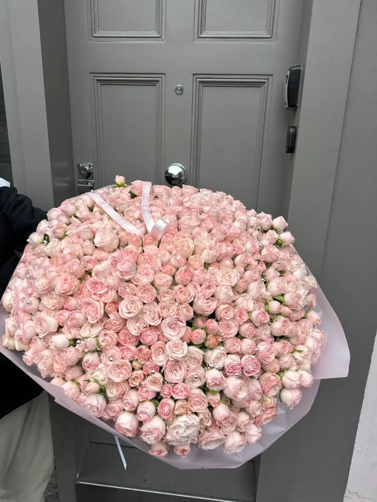 Albion rose grandeur (150 stems of spray roses)