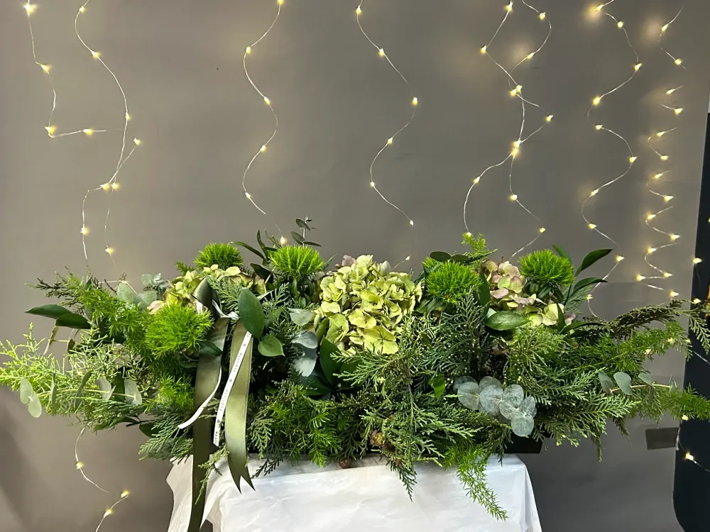 Seasonal evergreen serenity