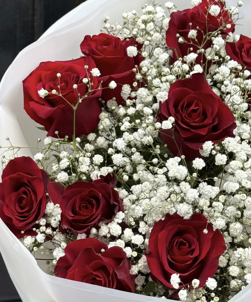 English classic romance (12 red roses & gypsophila)