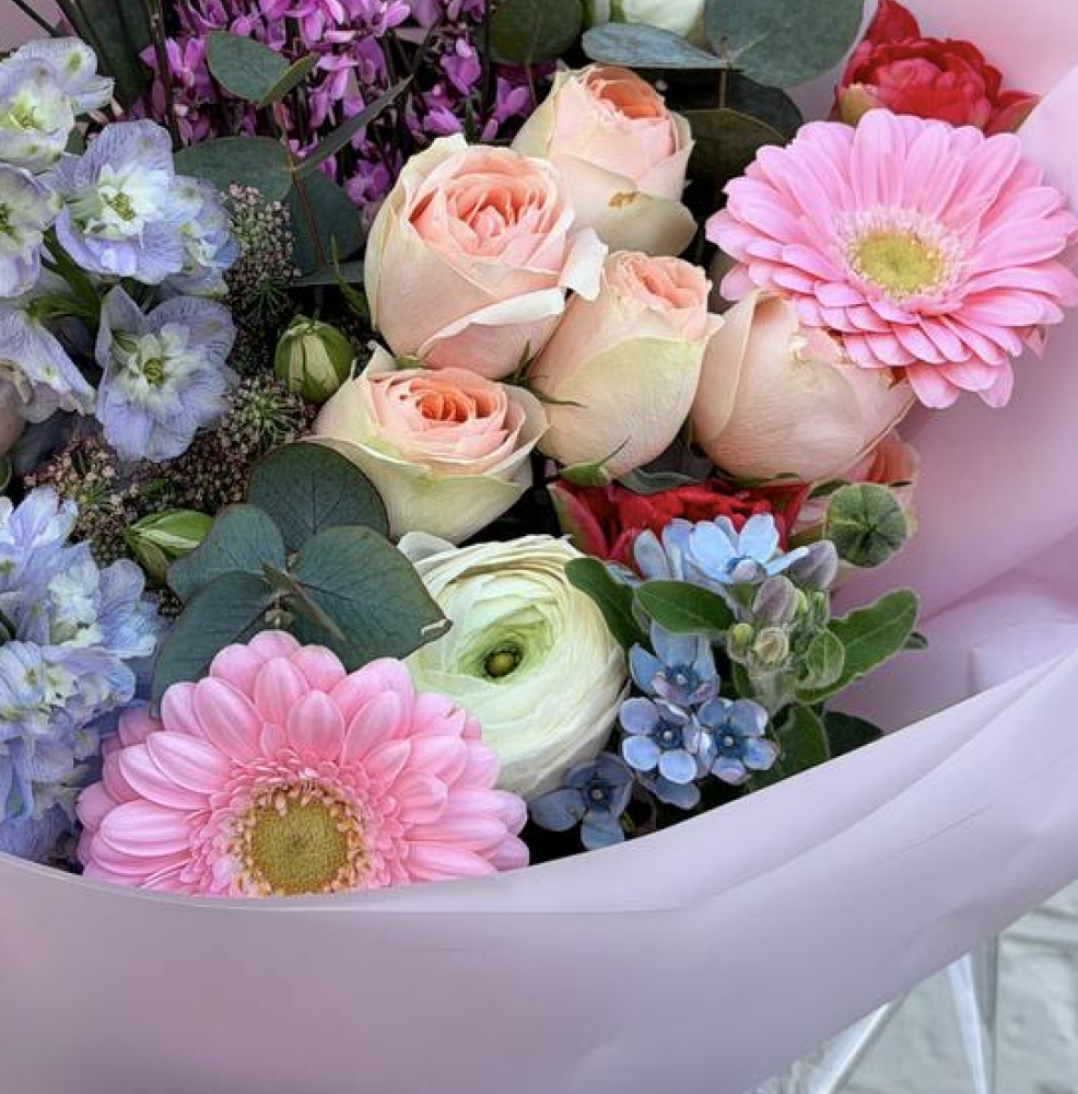 Soft notes in bloom