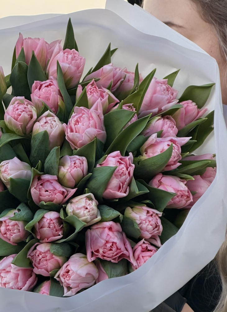 40 pink tulips grace