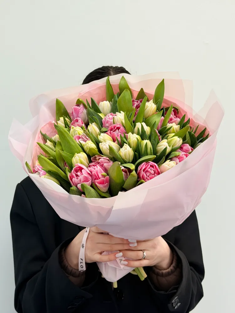 50 white and pink tulips