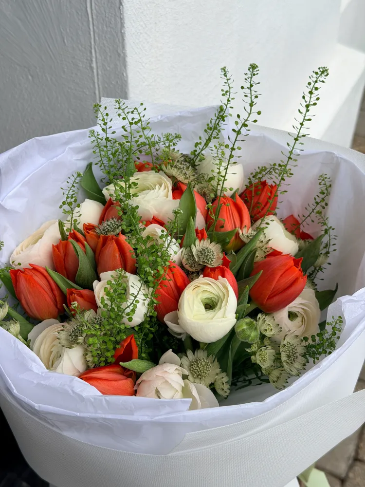 Red tulips and white ranunculus wrapped bouquet with astilbe — Floritta