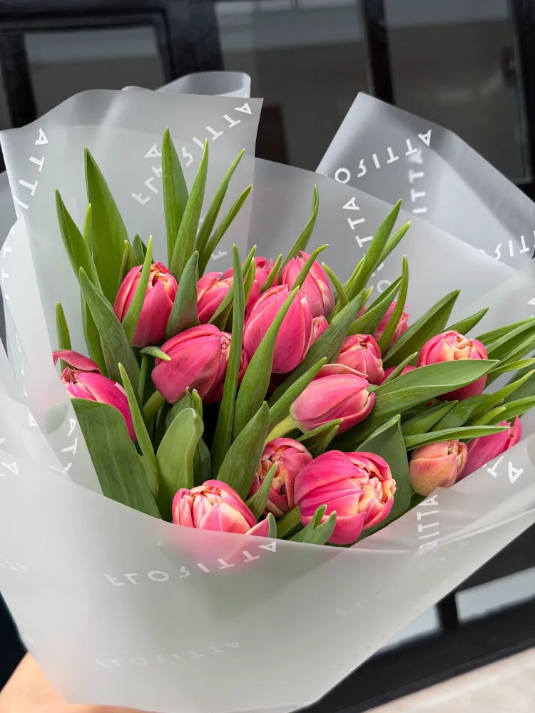 20 coral tulips