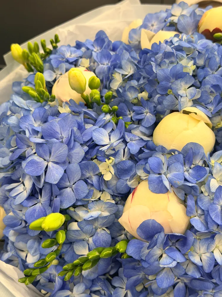 Close-up of blue hydrangeas with cream roses and hypericum buds — Floritta