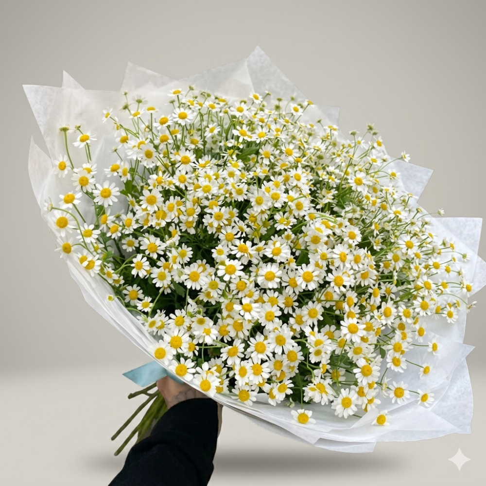 Luxurious white daisy bouquet with green foliage in tissue wrap — Floritta