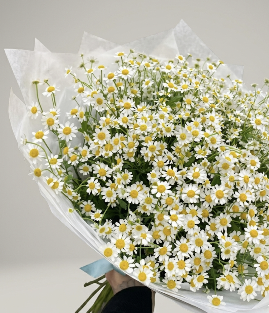Daisy meadows bouquet (20 stems chamomile daisies)