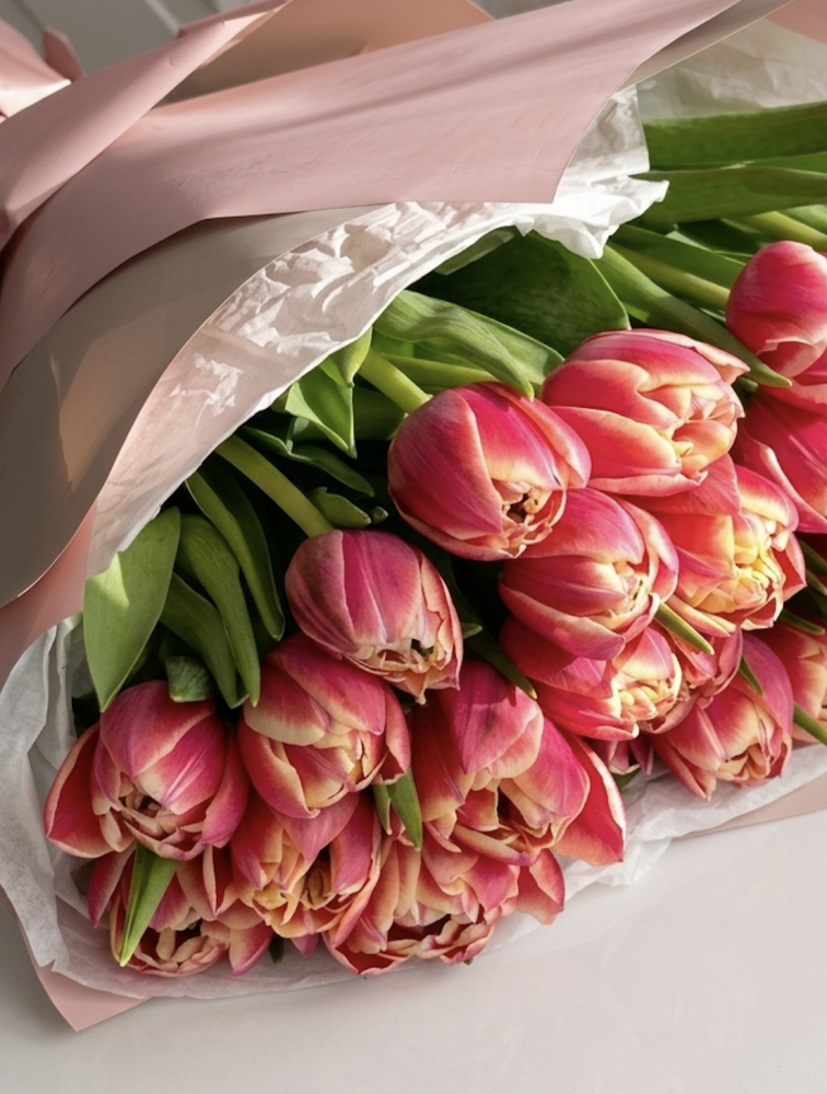 30 peony pink tulips