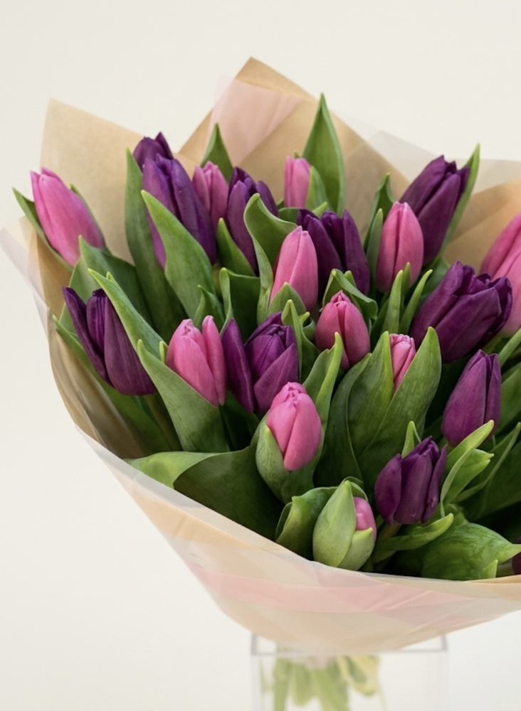 Pink and purple tulips ( 30 stems )