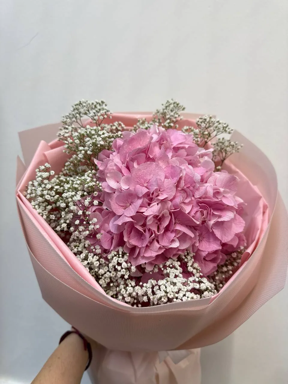 Bloom elegance ( hydrangea, gypsophila)