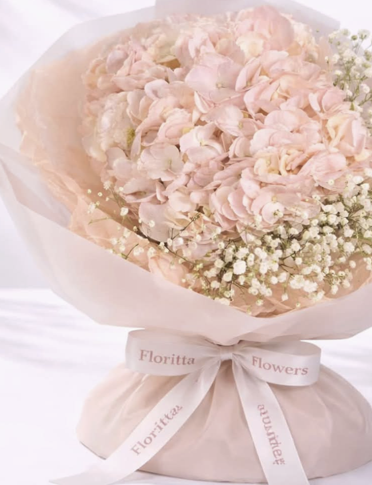 Bloom elegance ( hydrangea, gypsophila)