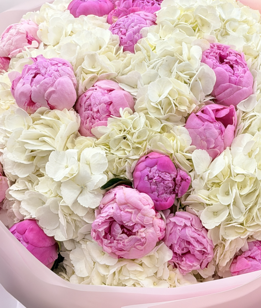 Light between heartbeats (20 hydrangeas & 20 peonies)