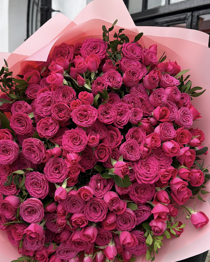 Crimson pulse (50 stems of spray roses)