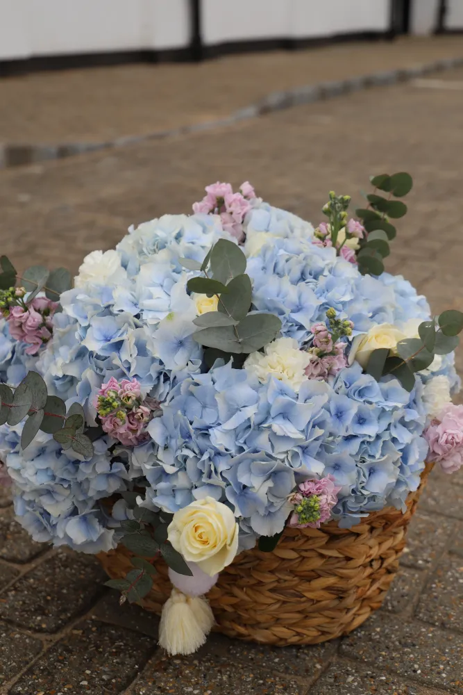 Pale blue hydrangea with cream roses and pink skimmia in wicker basket — Floritta