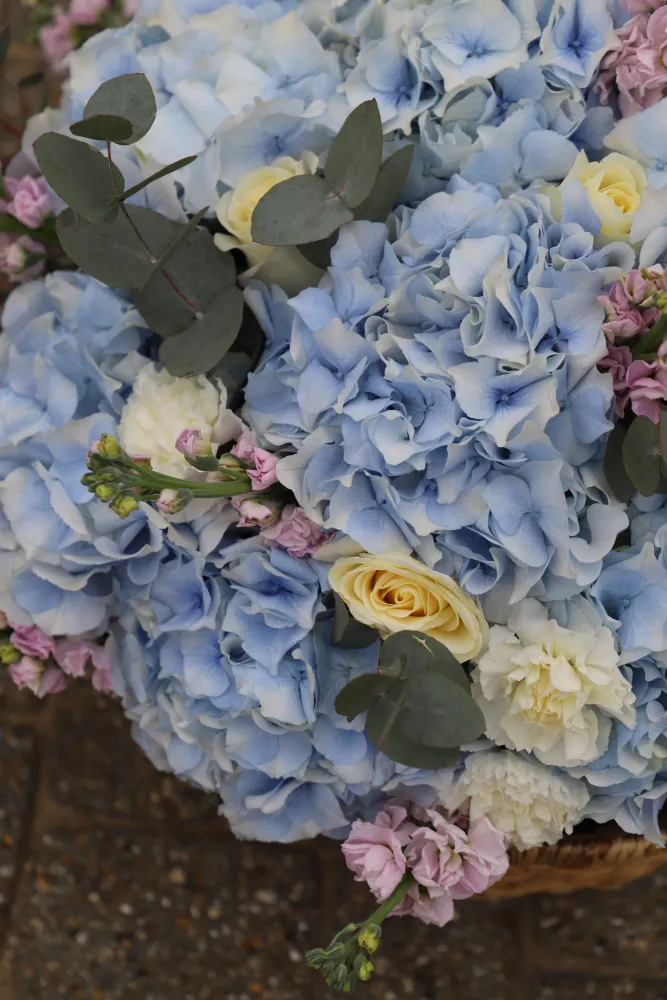 Blue whisper basket (hydrangeas, roses & delphinium)