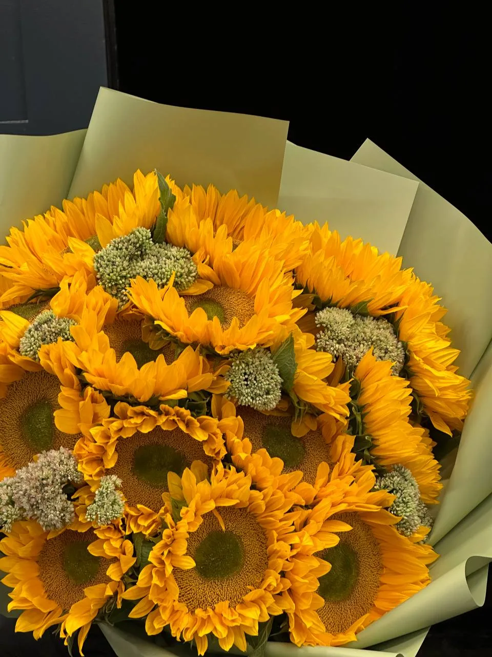 Sunlit reverence (15 sunflowers)