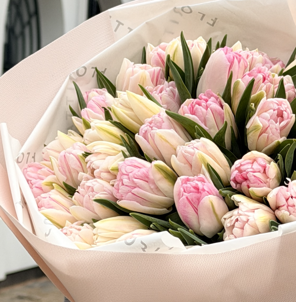 Blush tulip poetry (40 pink tulips)