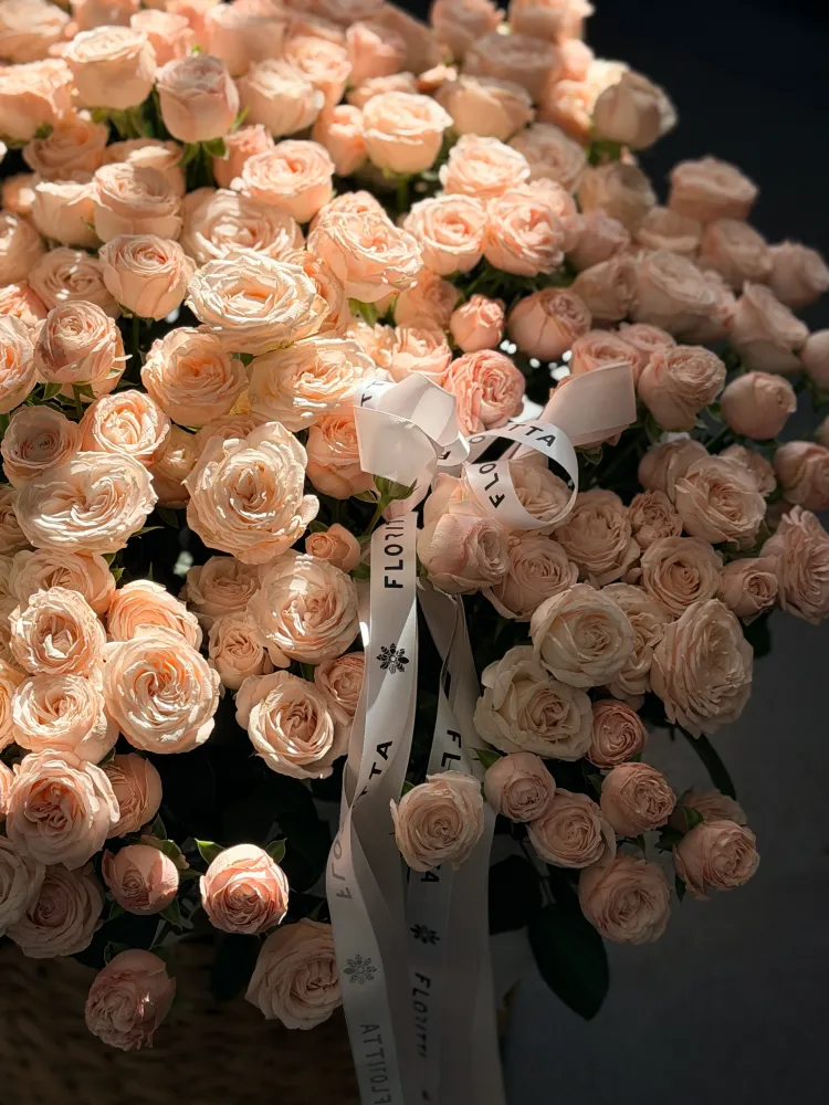 Cream tea garden (spray rose)