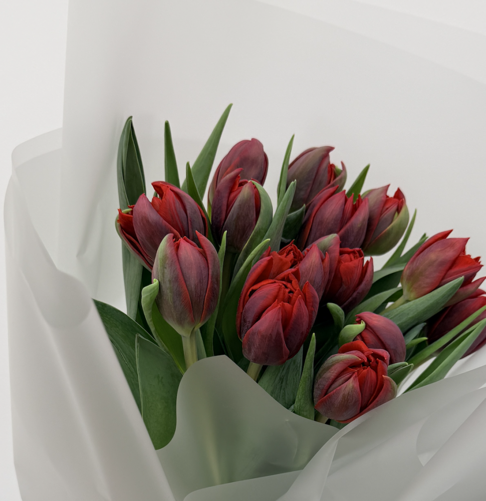Red velvet posy (15 red tulips)