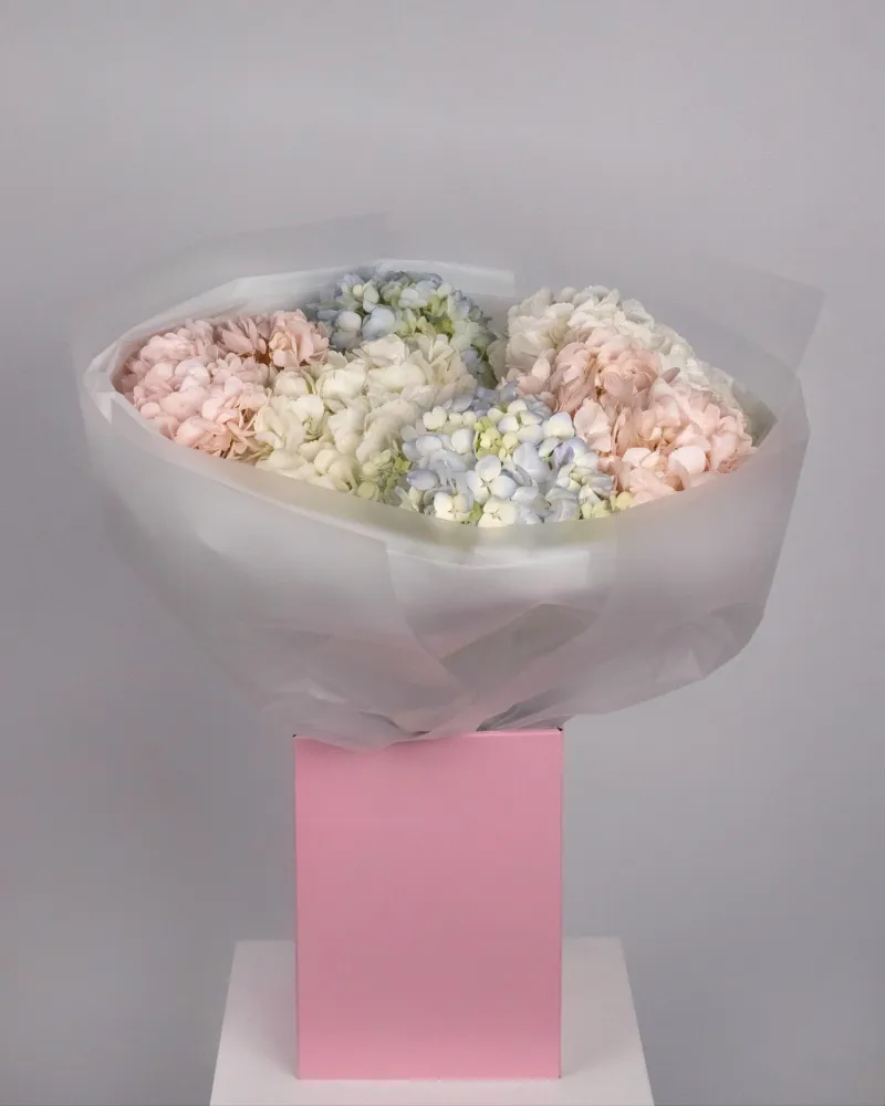 Mixed hydrangea arrangement in pastel tones with pink cube vase — Floritta