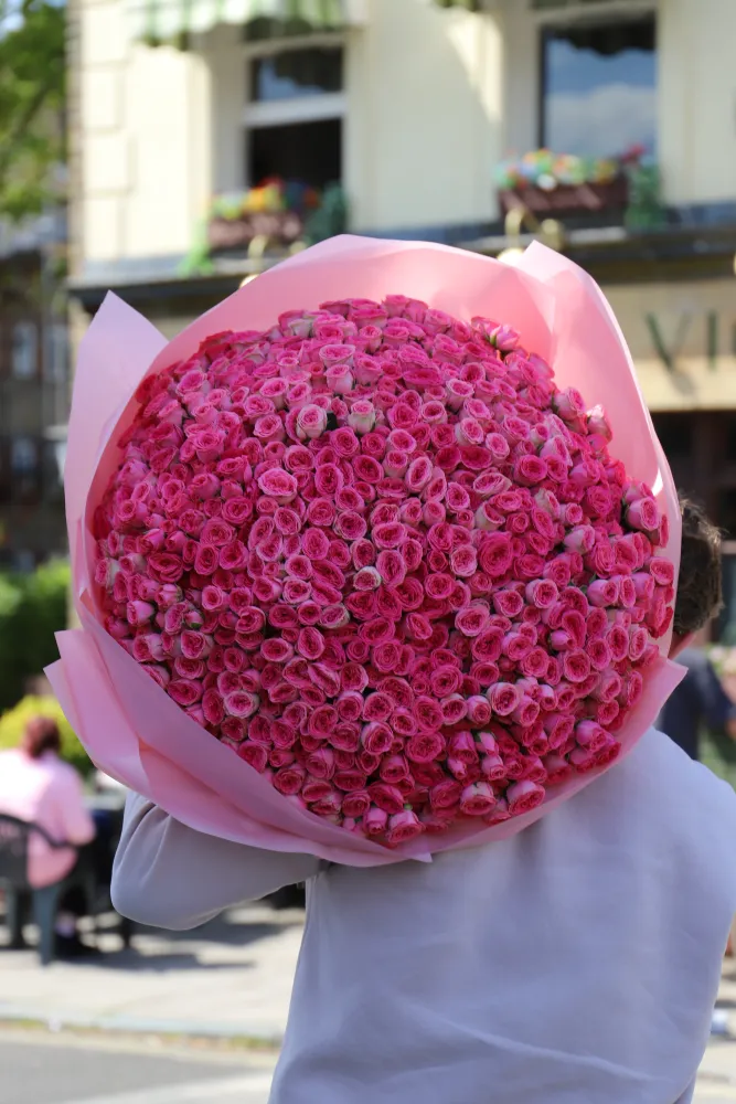 Fuchsia london sonnet (180 pink spray roses)