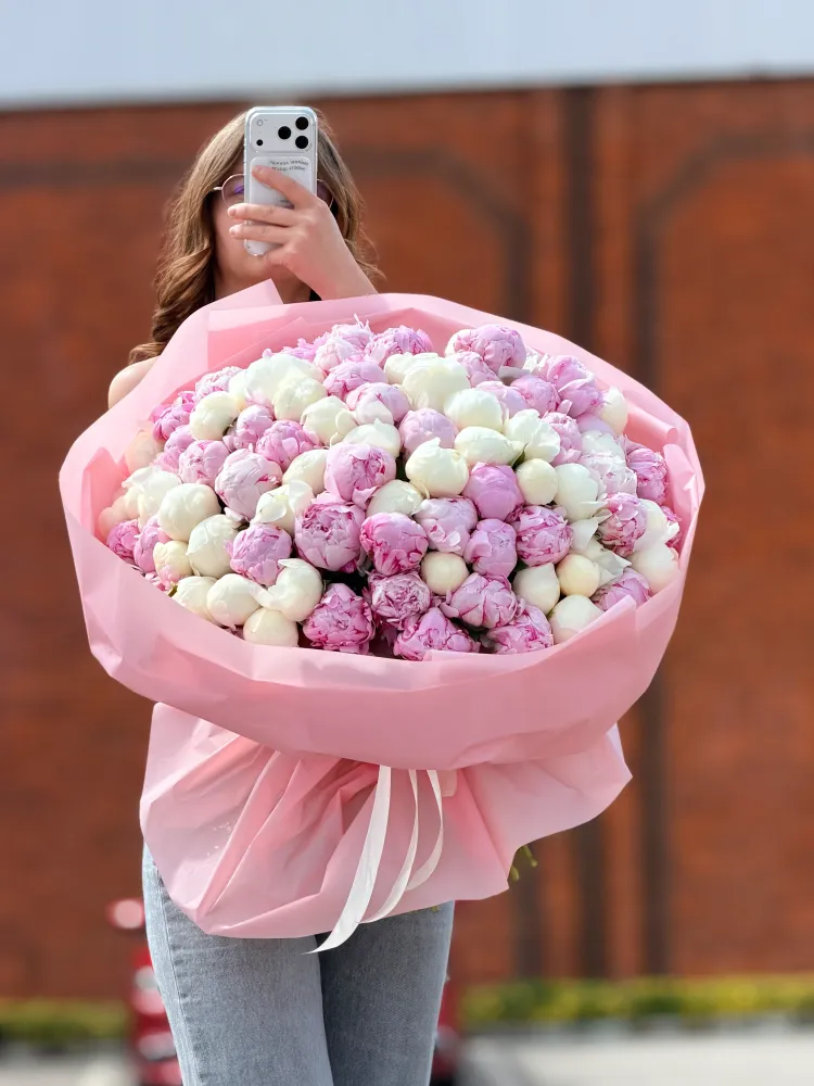 100 pink & white peonies
