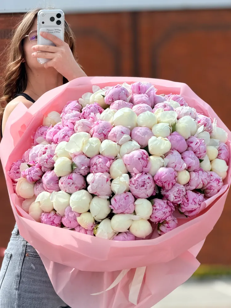 100 pink & white peonies