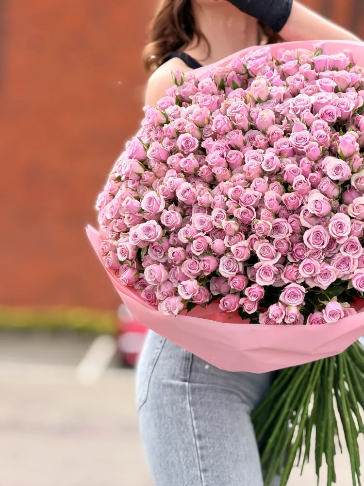 Lilac rose romance (100 pink spray rose)