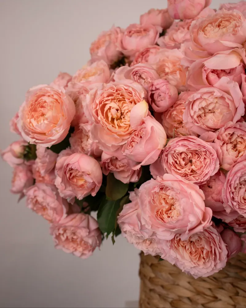Amour in petals peony spray roses basket