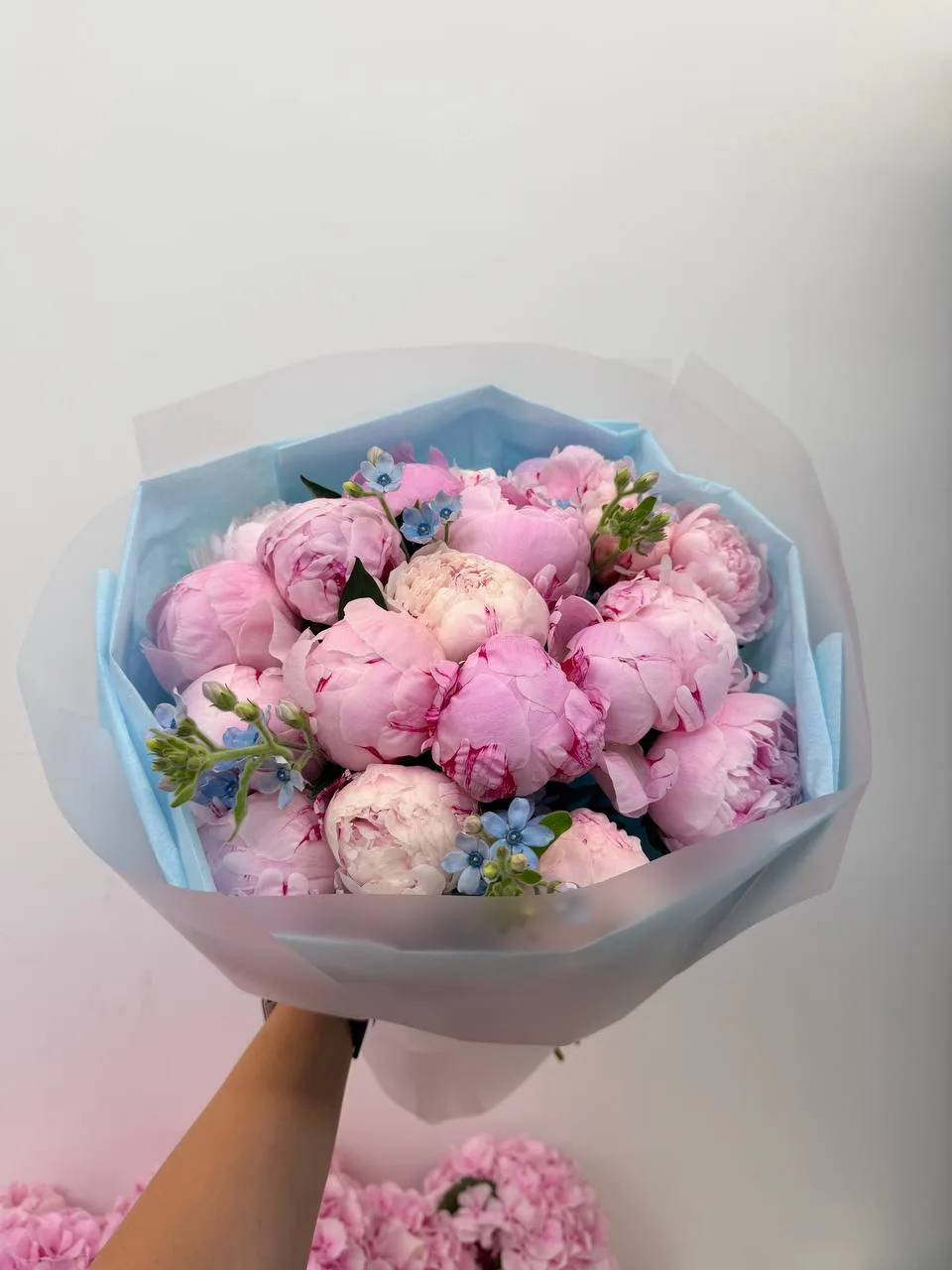 Pink peony romance (25 pink peonies & oxypetalum)
