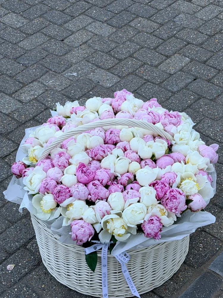 Luxury pink and white peony dome in white wicker basket — Floritta