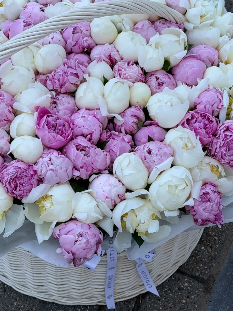 120 pink & white peony basket