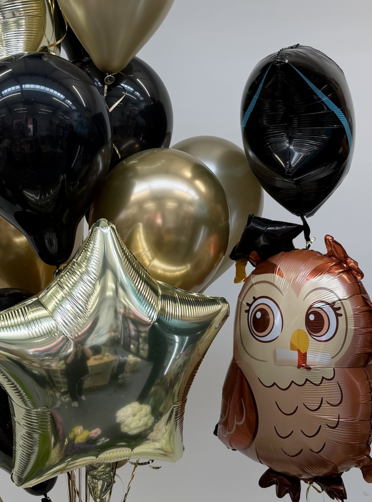 Graduation owl celebration (9 balloon helium inflated)