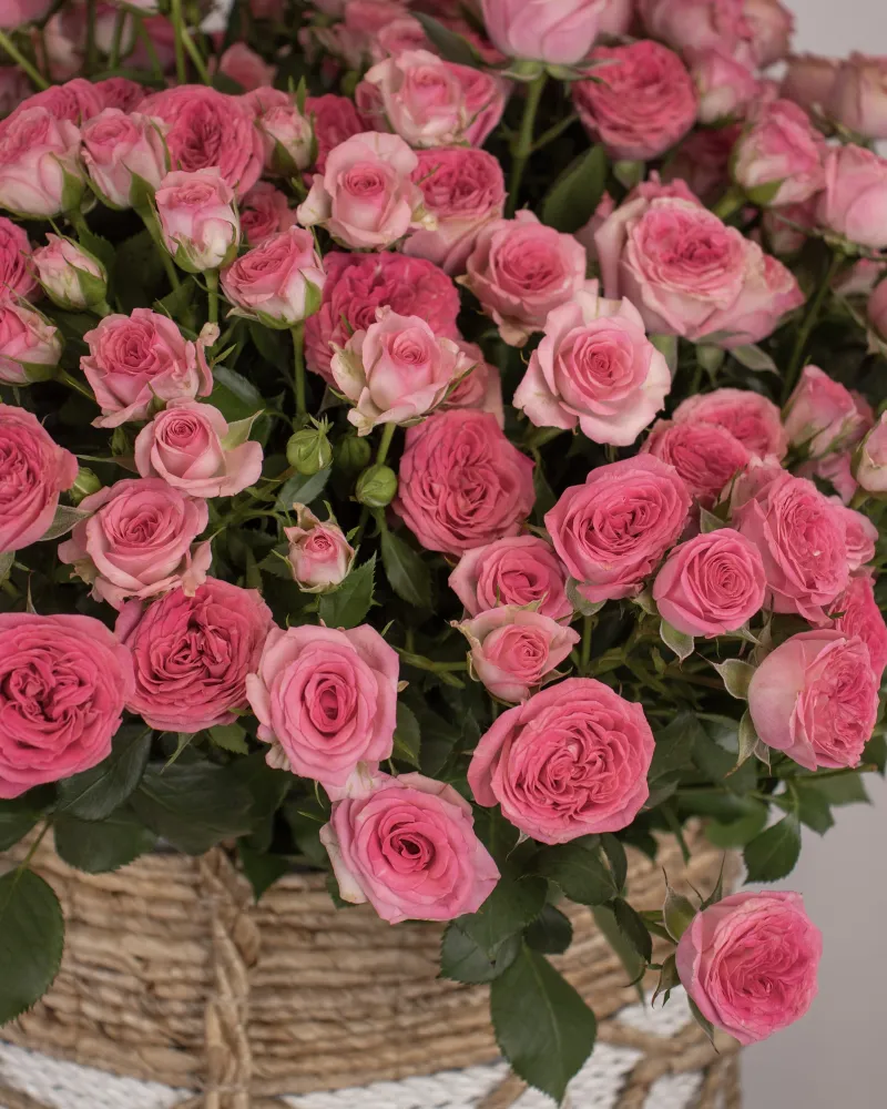 Blossoms of devotion basket (spray roses)