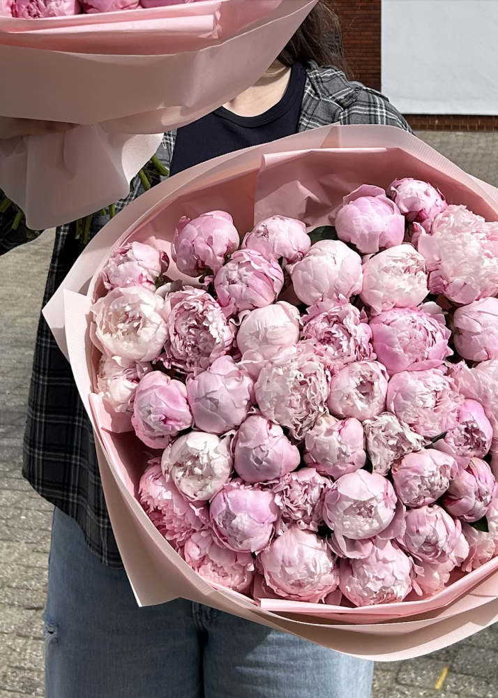 Double peony grandeur (two bouquets - per 40 pink peonies)