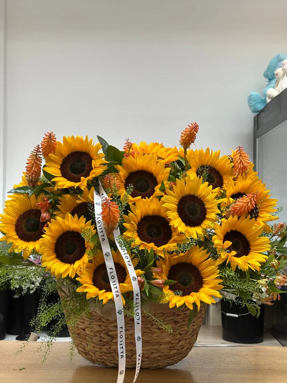 Sunflower basket with red hot poker (sunflowers, kniphofia)