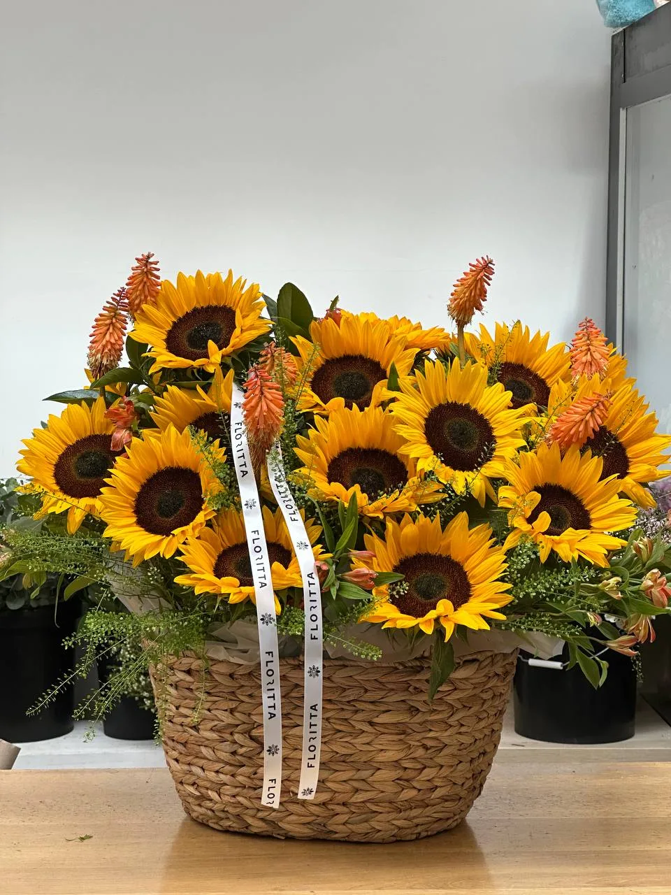 Sunflower basket with red hot poker (sunflowers, kniphofia)