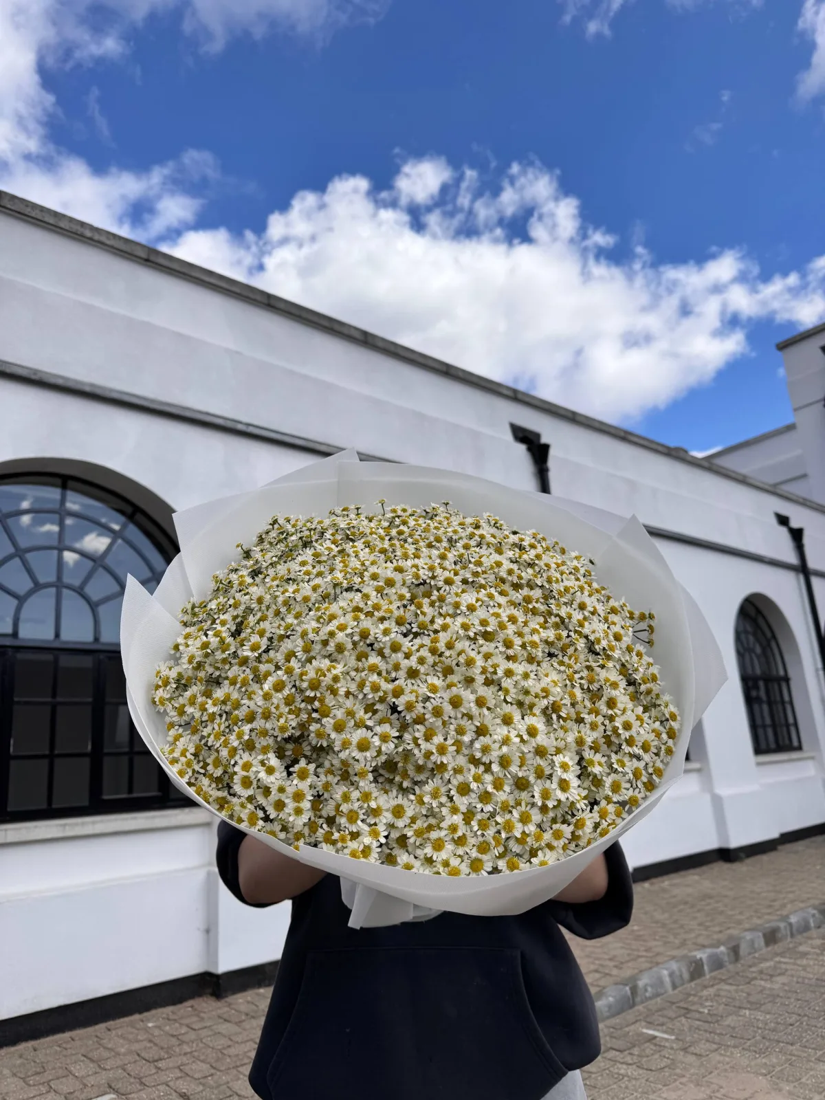 Chamomile daisy bouquet in white wrap
