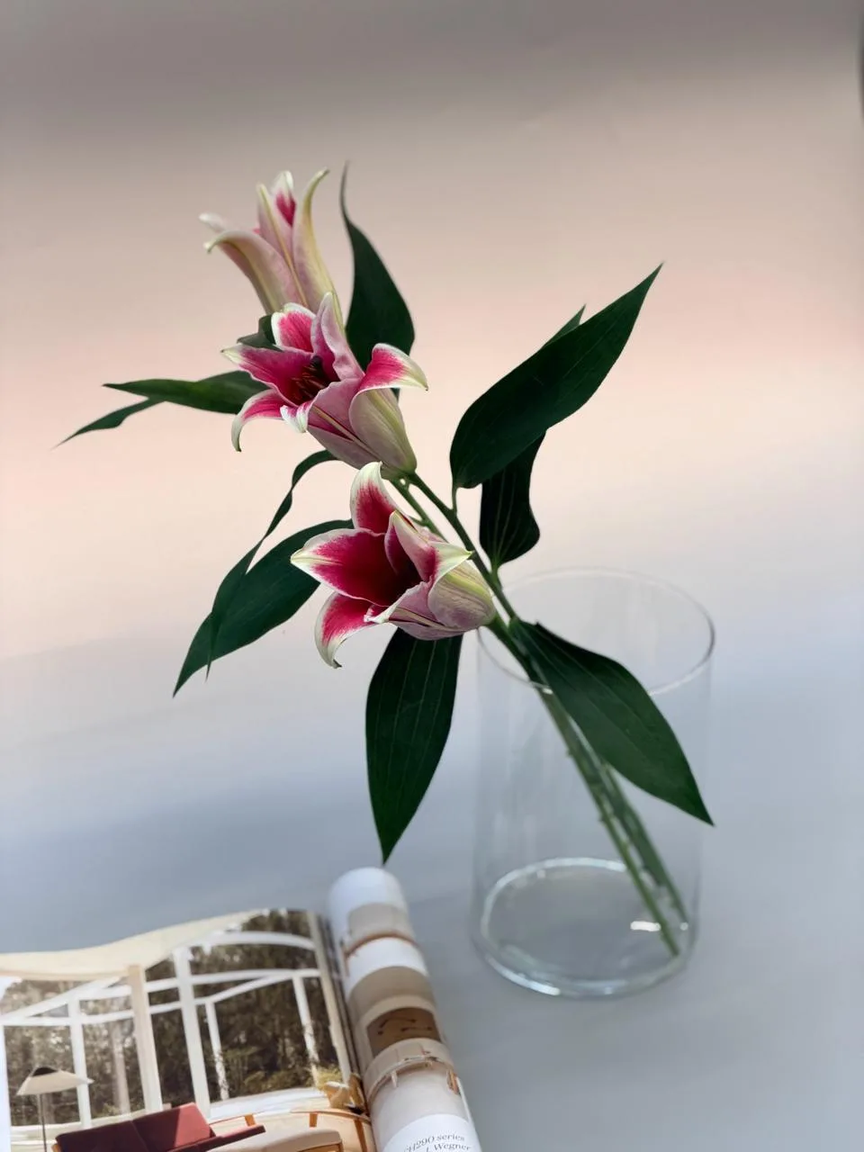 Clear glass cylinder vase 21cm