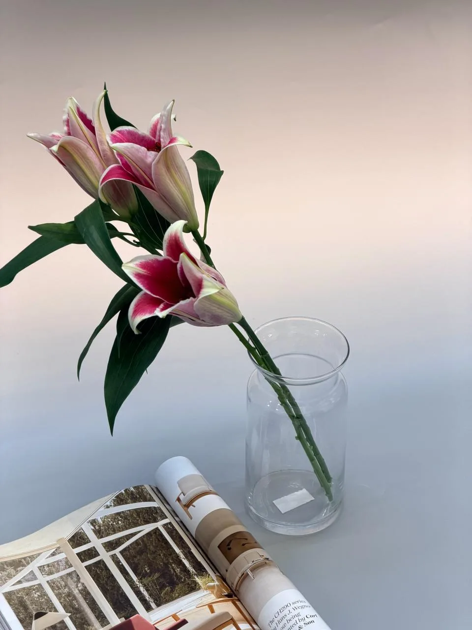 Clear glass cylinder vase 20cm