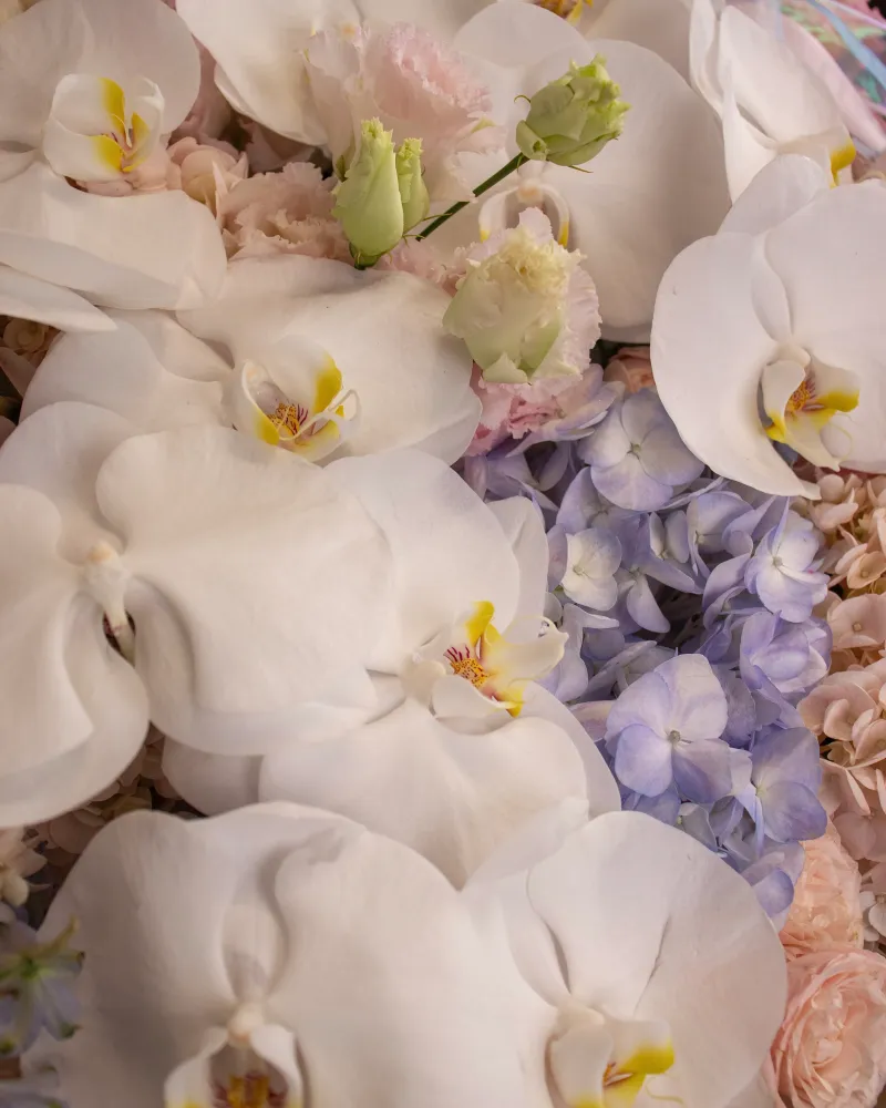 Close-up of white orchids, lavender hydrangeas and blush roses with ribbon — Floritta