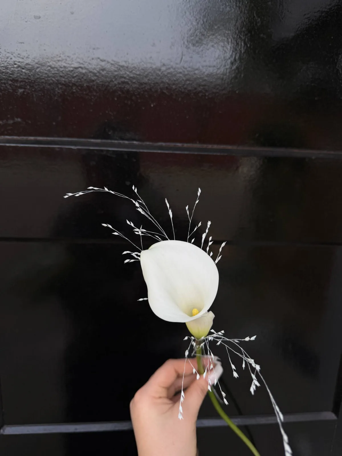 Swan lake (bridal callas & matching boutonnière)