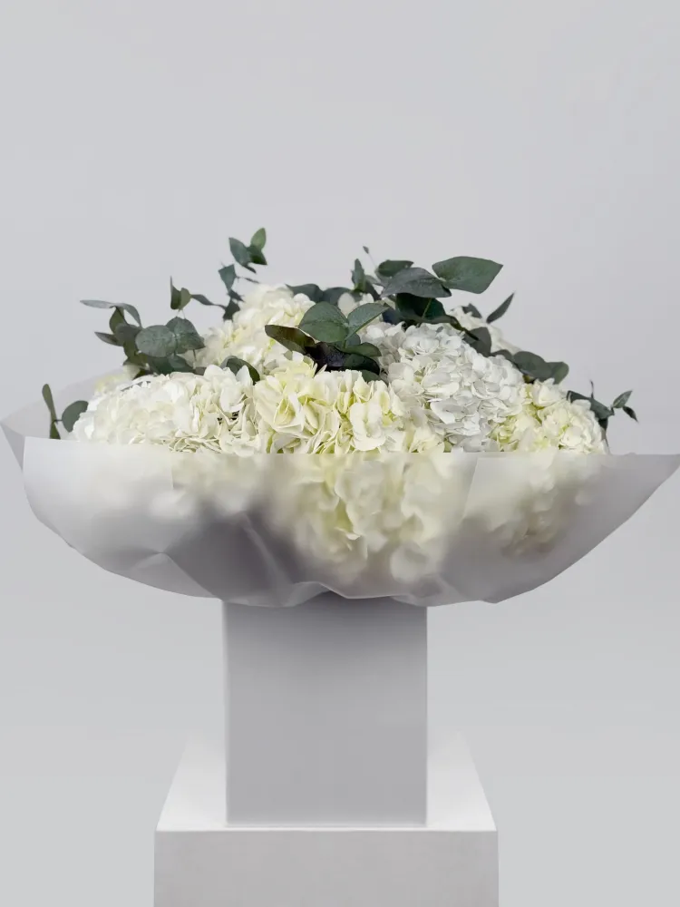 Luxe cream and white hydrangea arrangement with eucalyptus in modern pedestal bowl — Floritta