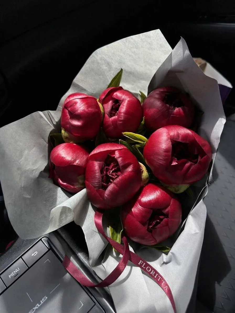 7 burgundy peonies bouquet in grey wrap
