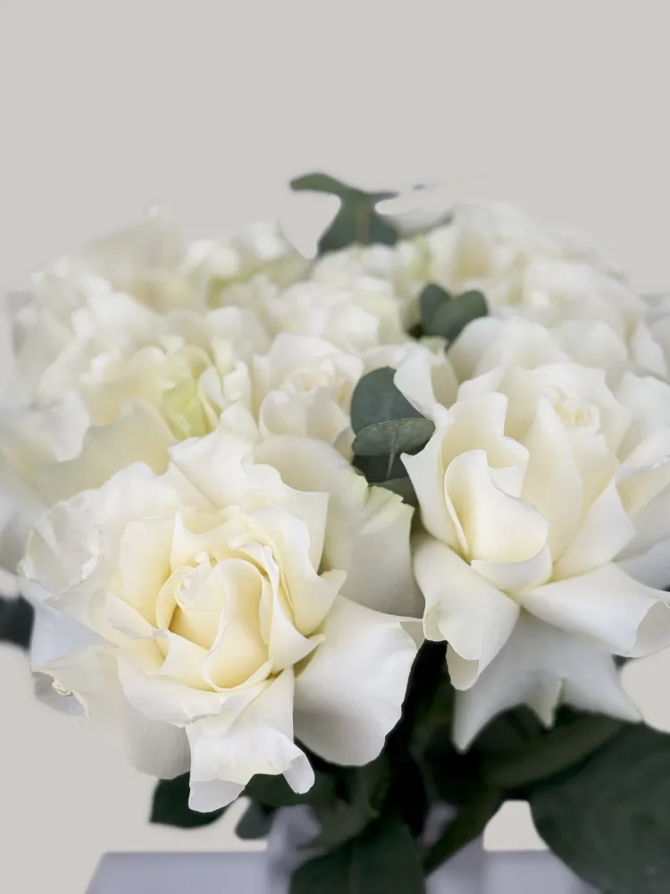 Premium 12 white roses with eucalyptus
